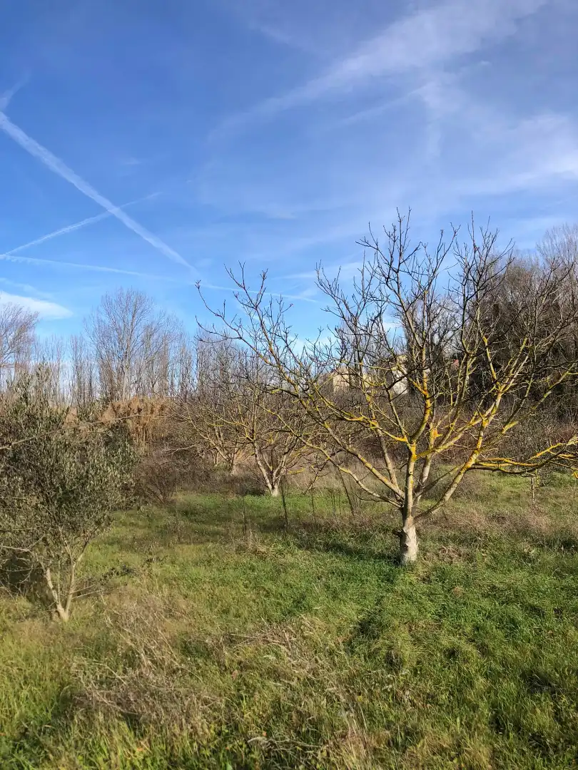 Terreni e lotti in vendita a Murillo de Río Leza, imagen 7