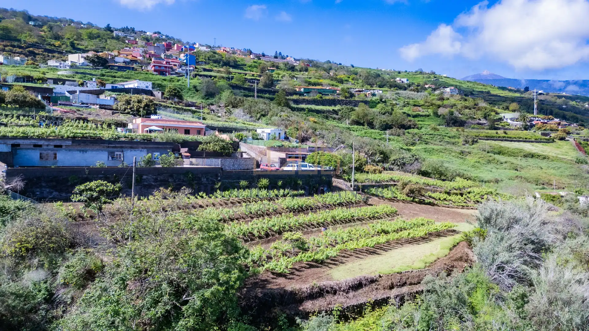 Casa rústica con jardín en venta en La Perdoma - San Antonio - Benijos, imagen 137