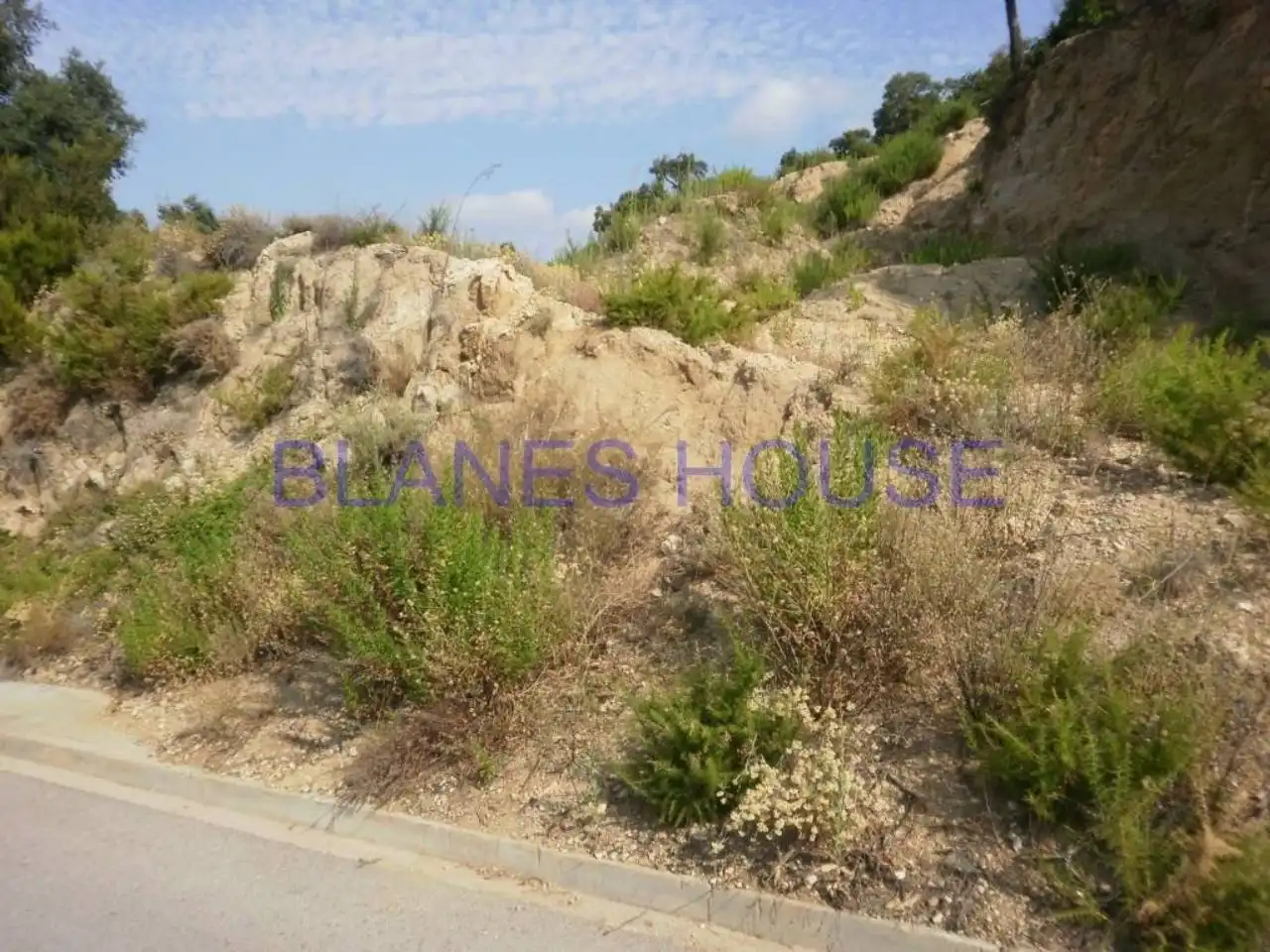 Terreno residencial en venta en Riudarenes, imagen 2