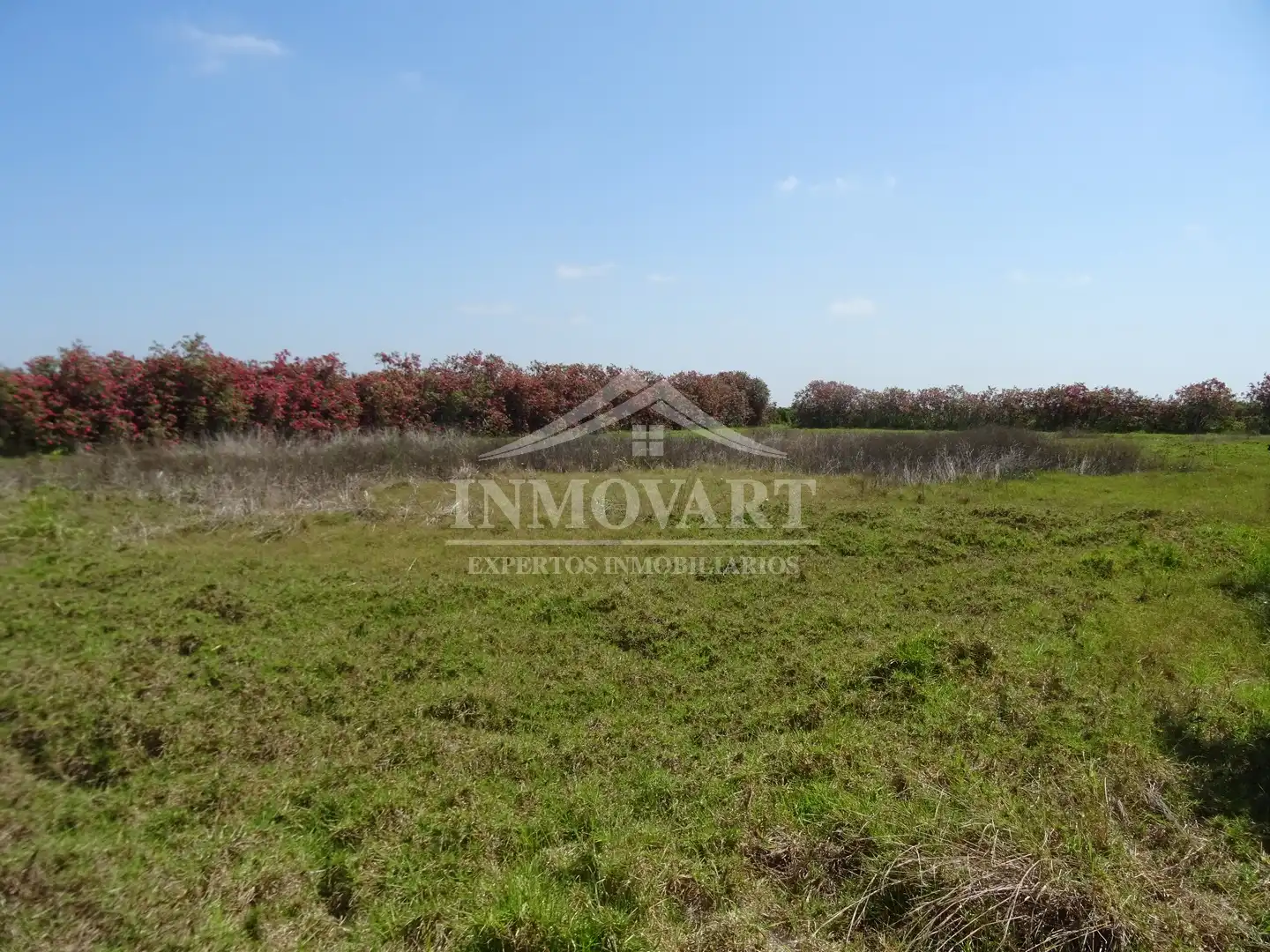 Rustikales Grundstück zum Verkauf in Algemesí