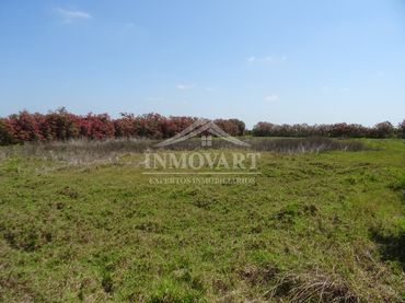 Terreno rustico in vendita a Algemesí