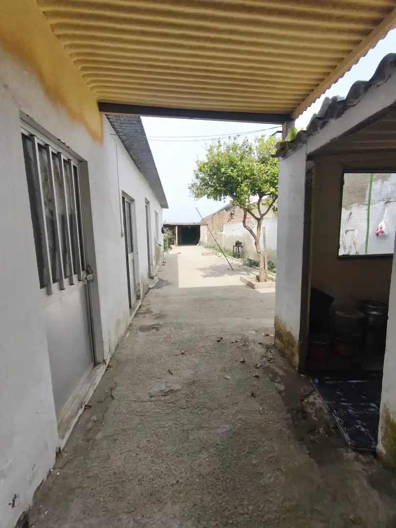 Exterior view of Houses for sale in Los Molares