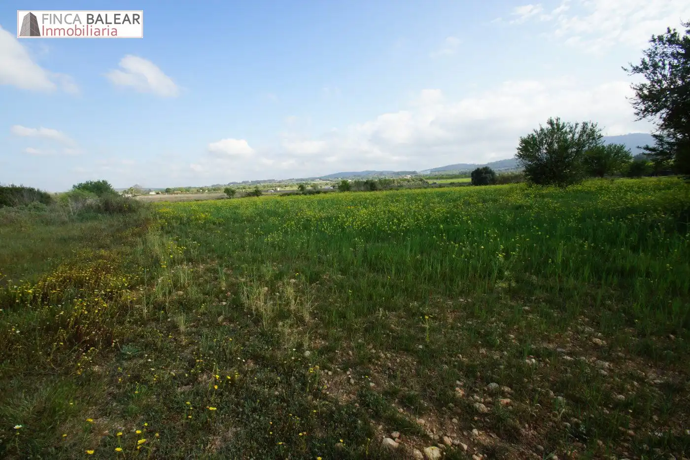Terreno rustico in vendita a Algaida, imagen 4