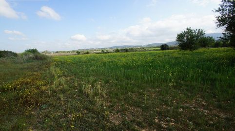 FINCA RUSTICA UBICADA EN ALGAIDA CON PROYECTO Y LICENCIA CADUCADA PARA EDIFICAR UNA VIVIENDA EN PL, immagine 4