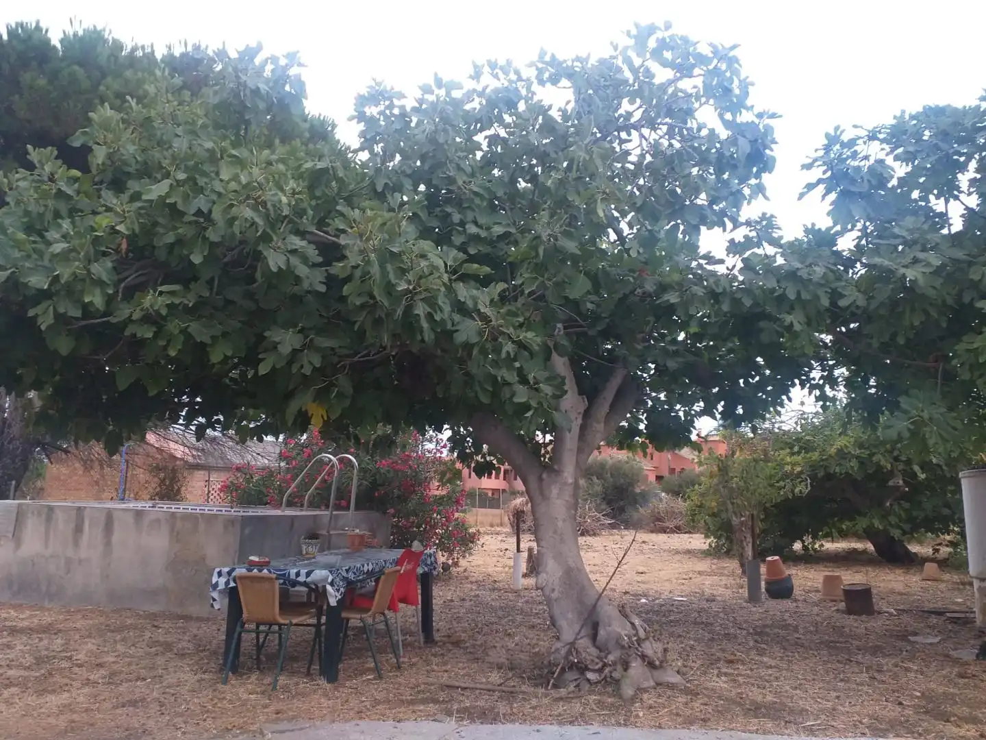 Jardí de Residencial en venda en Punta Plata