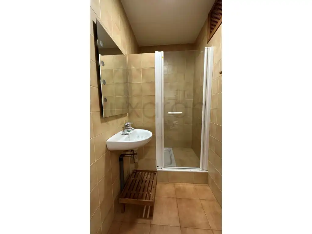 Bathroom of Commercial properties for sale in Bossòst