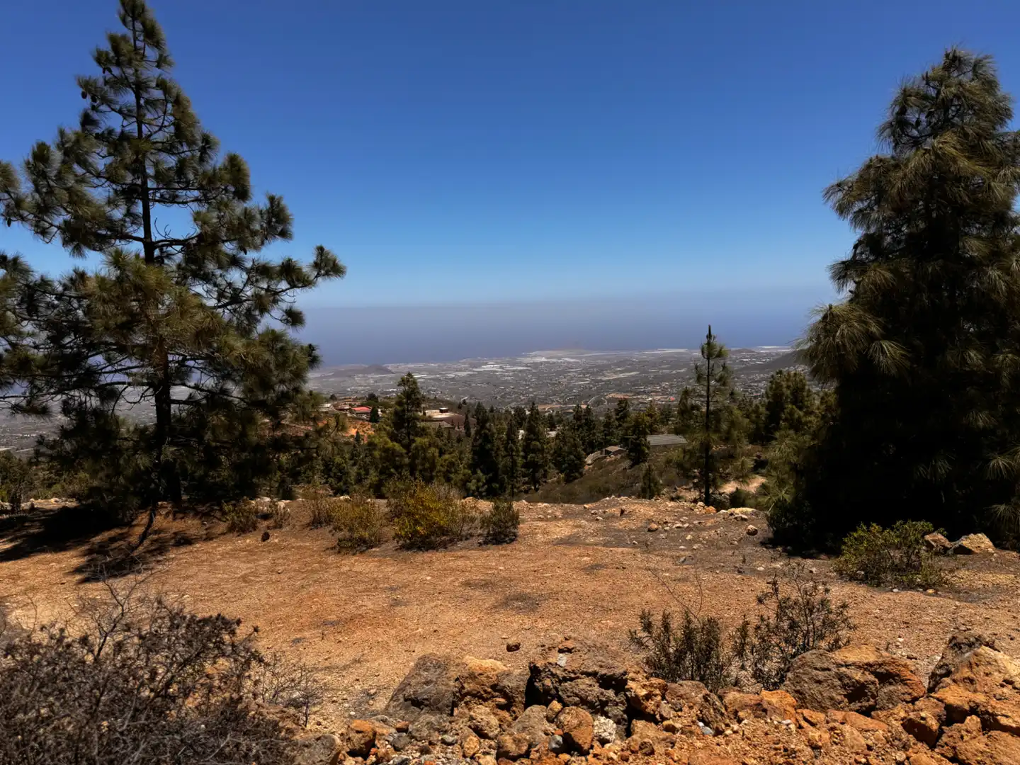 Vista exterior de Finca rústica en venta en Granadilla de Abona con Calefacción, Jardín privado y Parquet