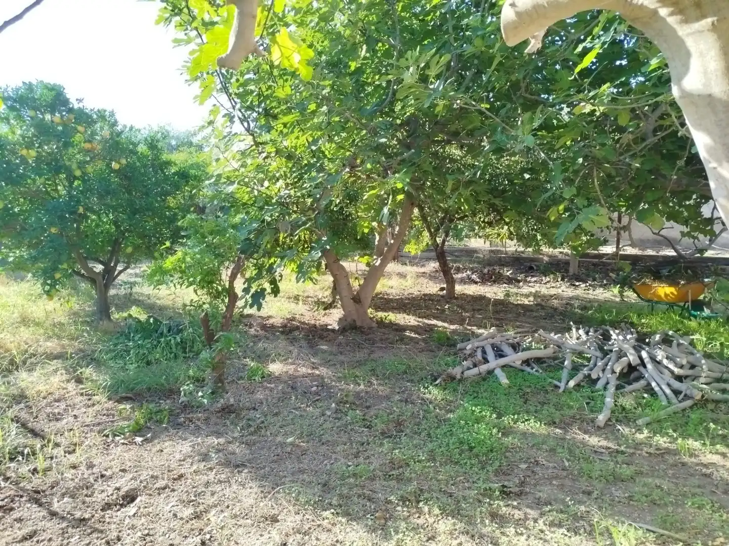 Country homes for sale in Murcia