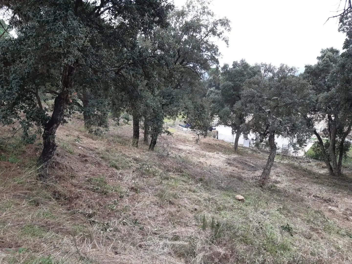 Terreno residenziale in vendita a SERRA LLONGA 50, imagen 9