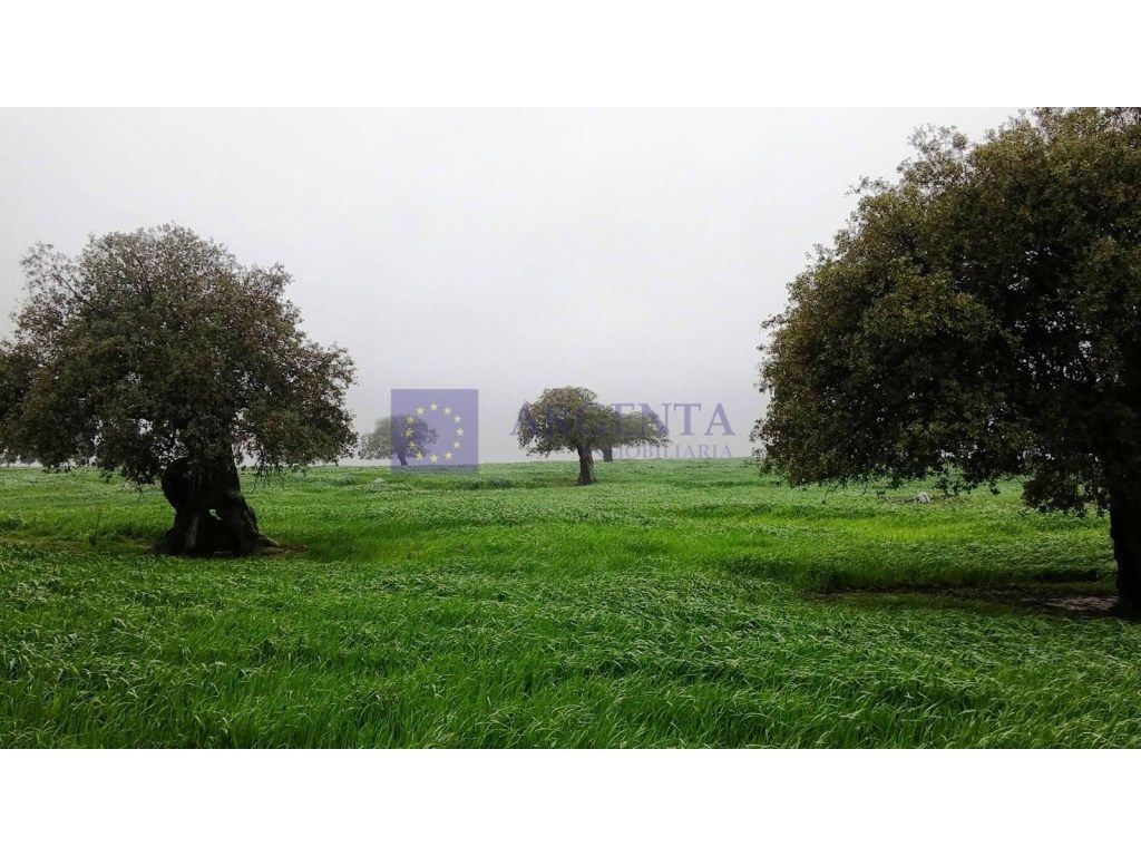 Finca rústica en venta en Alcuéscar