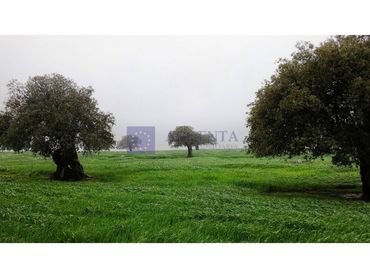 Casa en venta en Alcuéscar