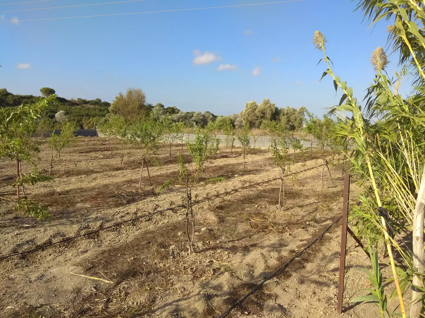 Terrenys i solars en venda a Los Franceses – La Vega, imagen 38