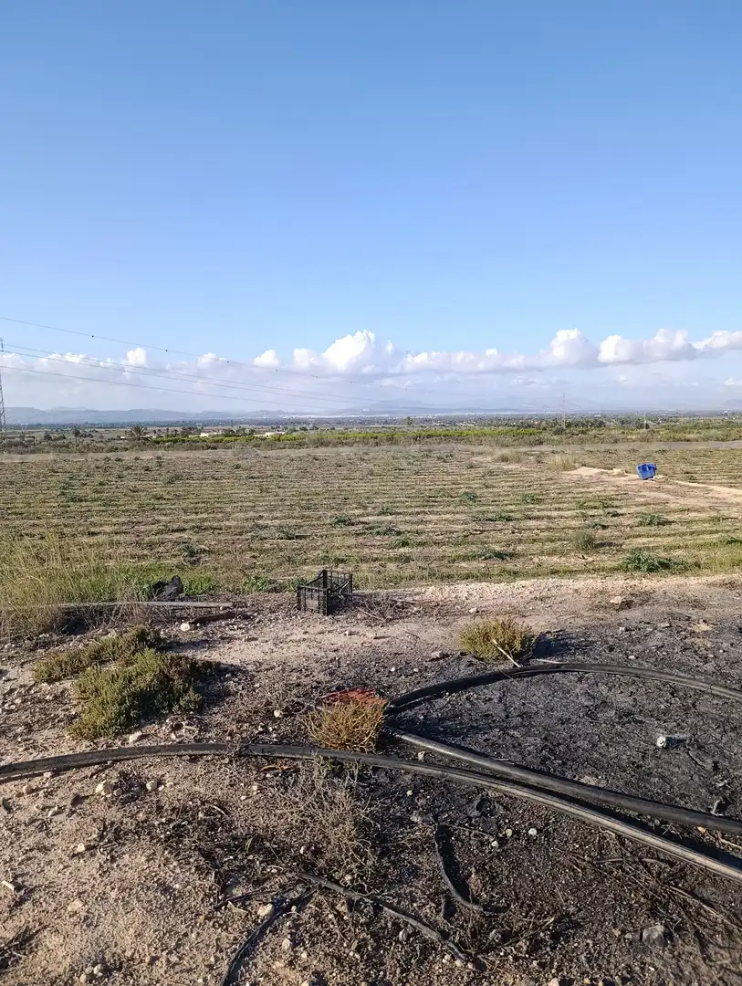 Terrain rustique à vendre à La Marina, imagen 7