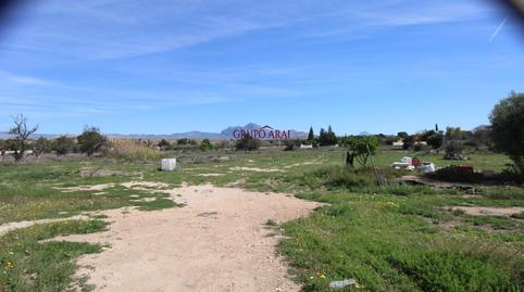 Foto 2 de Finca rústica en venda a Calle Calle Ponent, 70, La Huerta, Alicante