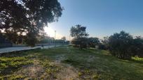 Residencial en venda en Sevilla la Nueva