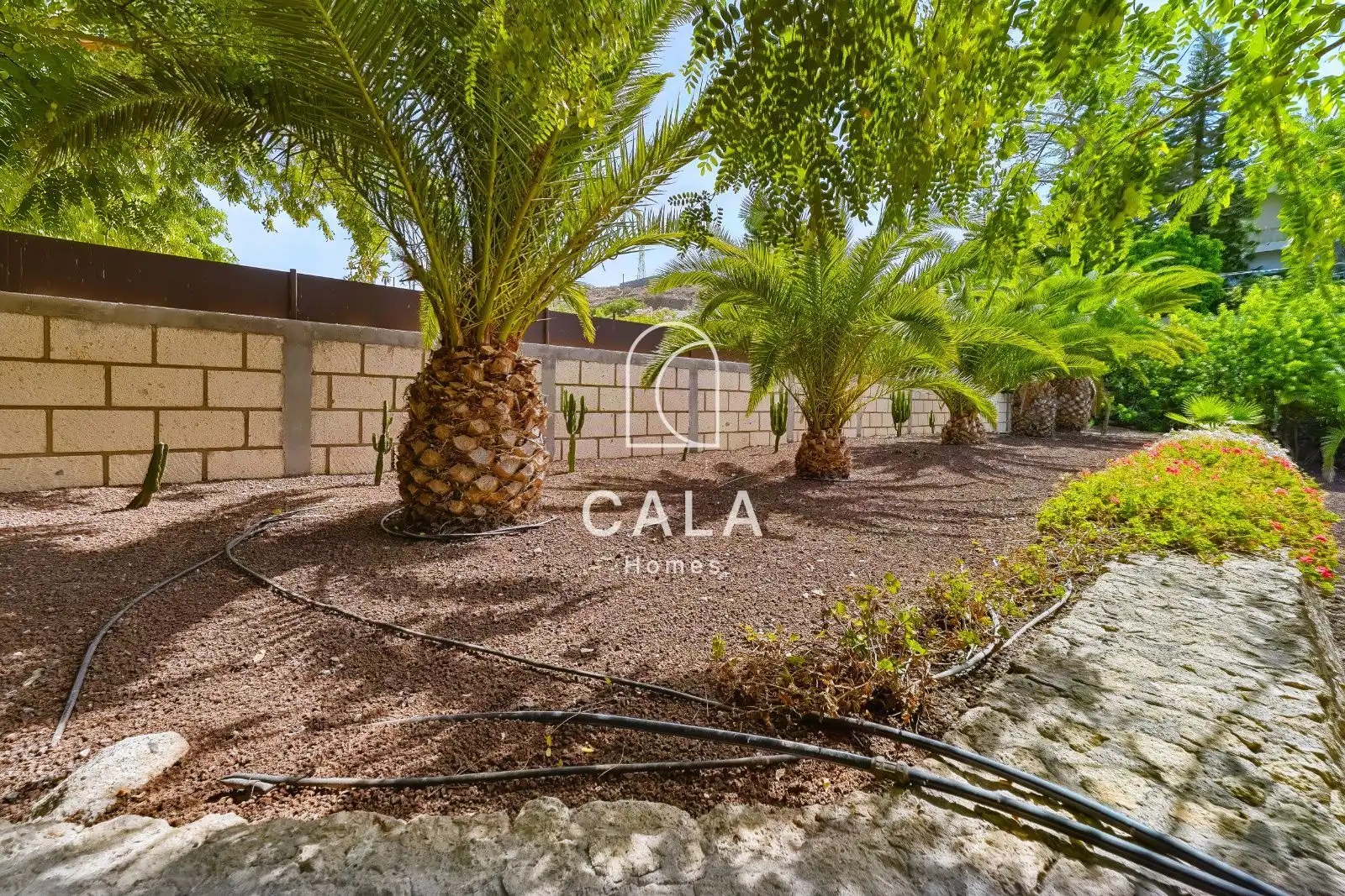 Exterior view of Houses for sale in Marazul - Ricasa