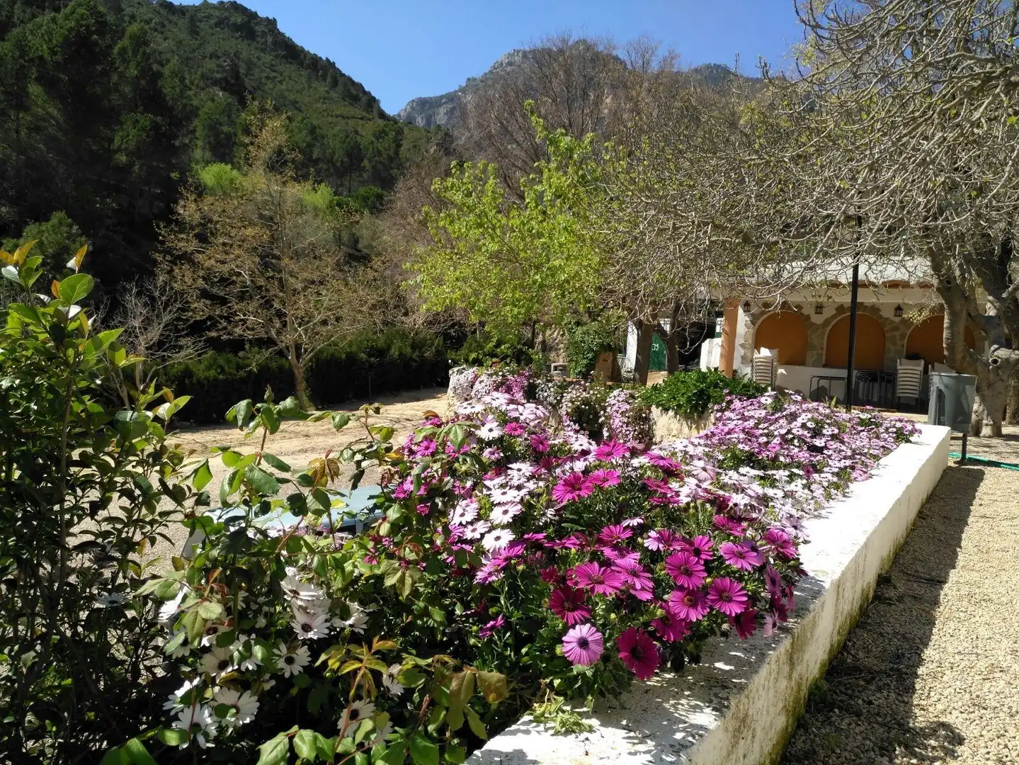 Jardí de Local en venda en Alfara de Carles amb Moblat