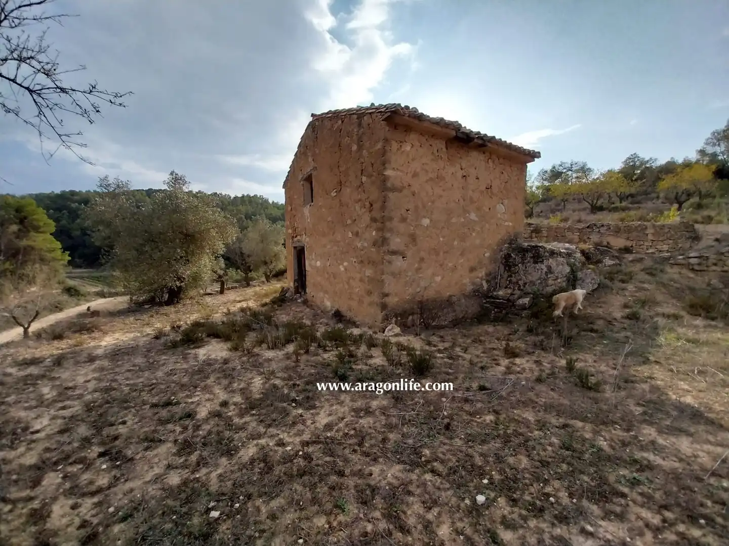 Finca rústica en venda en Caseres