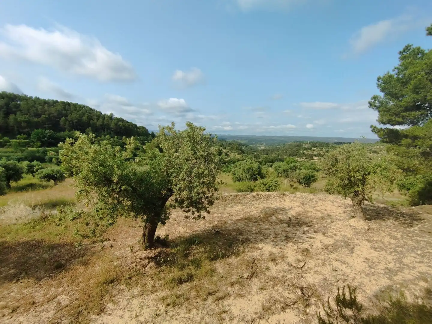 Casa o xalet en venda en Cervià de Les Garrigues amb Traster