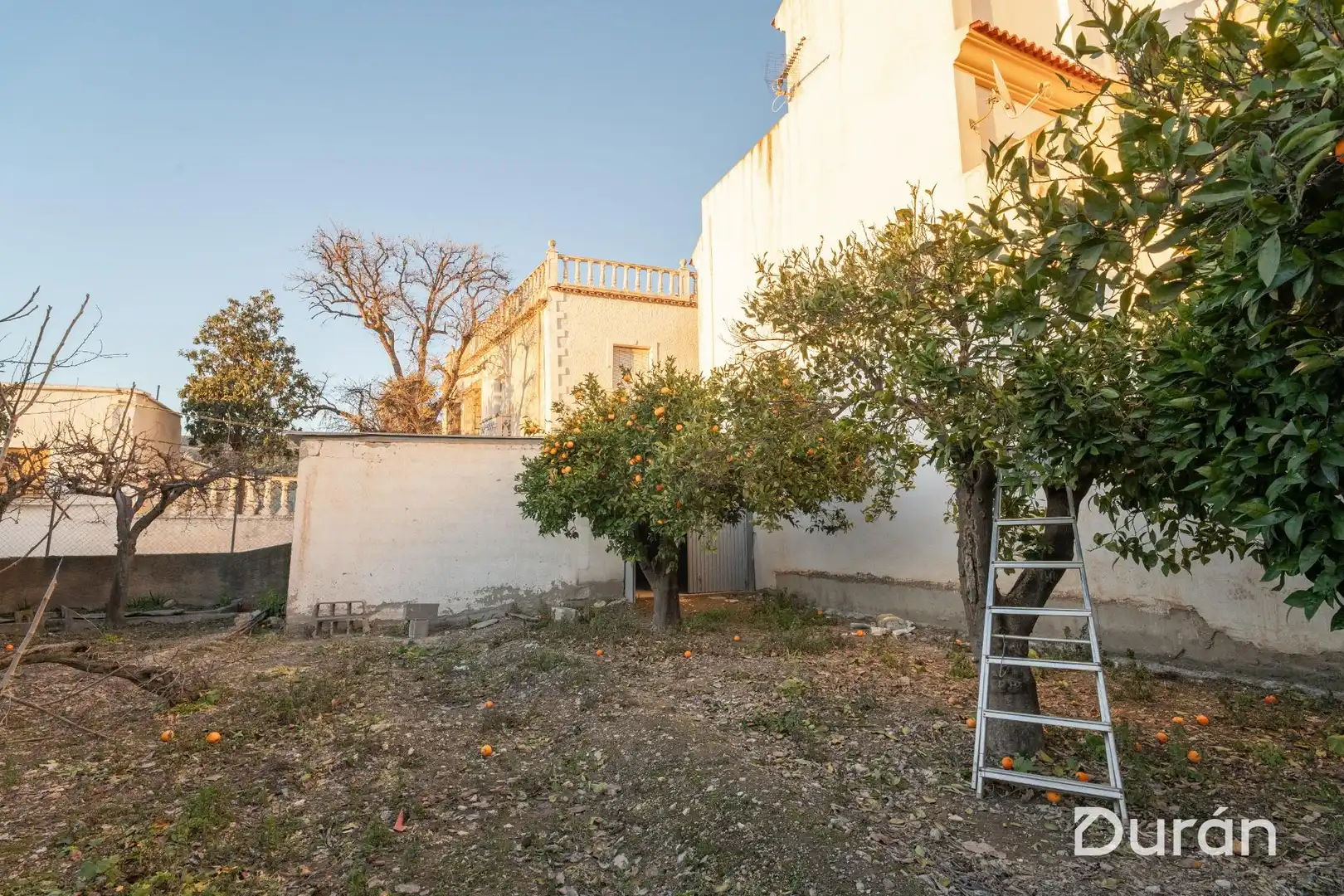 Finca rústica en venda en Alcolea amb Aire condicionat, Jardí privat i Traster