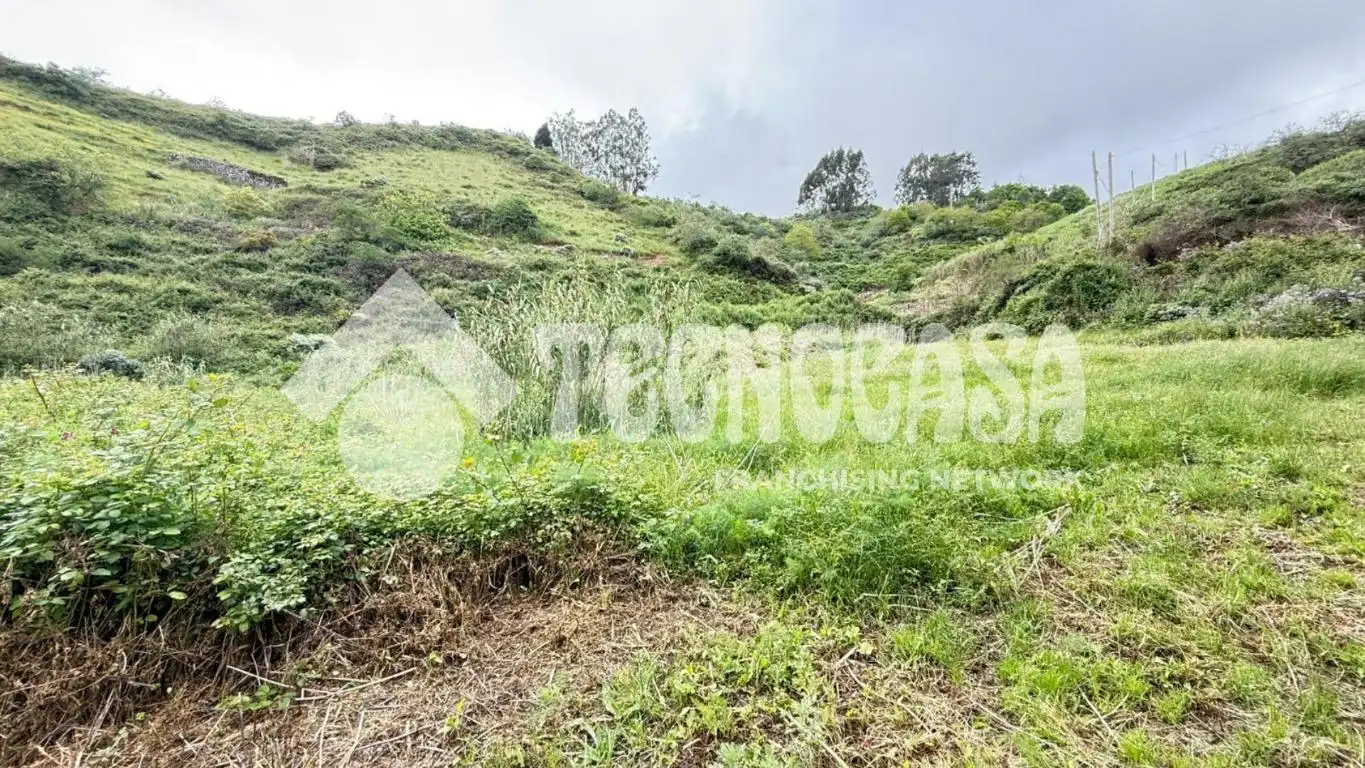 Terreno en venta en Moya (Las Palmas)