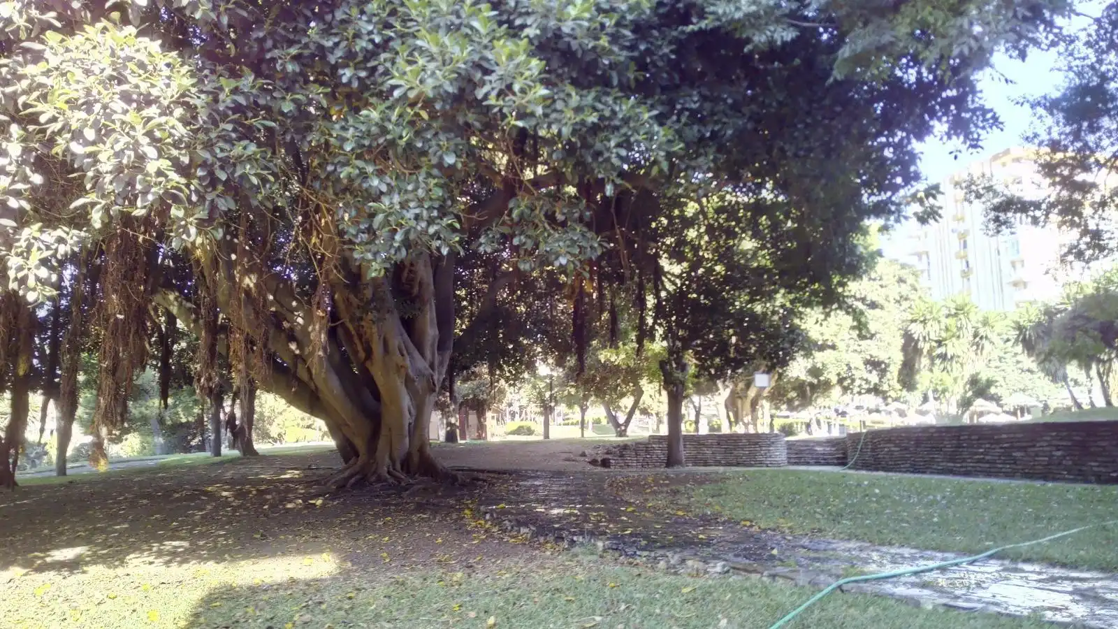 Studio with pool for sale in Parque de la Paloma, imagen 10