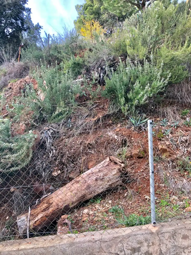 Terrain résidentiel à vendre à Abrera, imagen 3