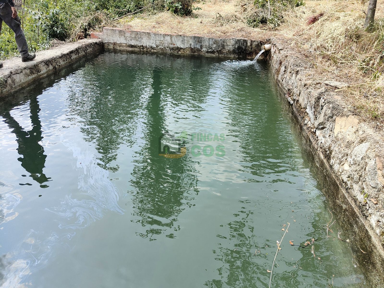 Piscina de Casa o xalet en venda en Falset amb Jardí privat i Terrassa