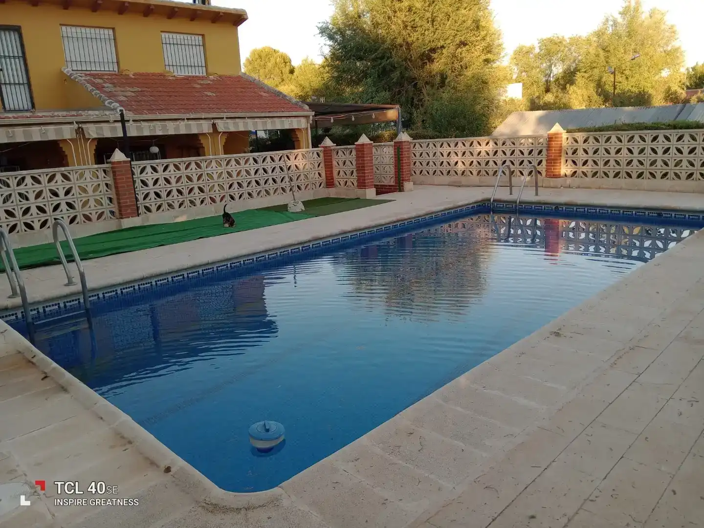 Piscina de Casa o xalet en venda en Membrilla amb Aire condicionat, Jardí privat i Parquet