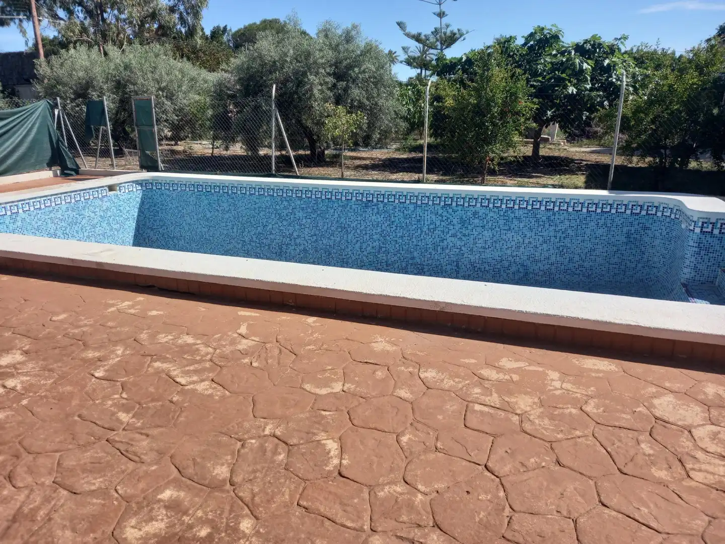 Piscina de Casa o chalet en venta en Elche / Elx