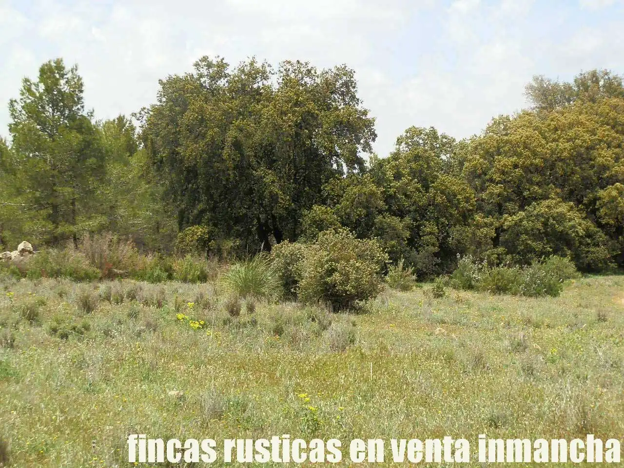 Terreno rustico in vendita a Ruidera, imagen 16