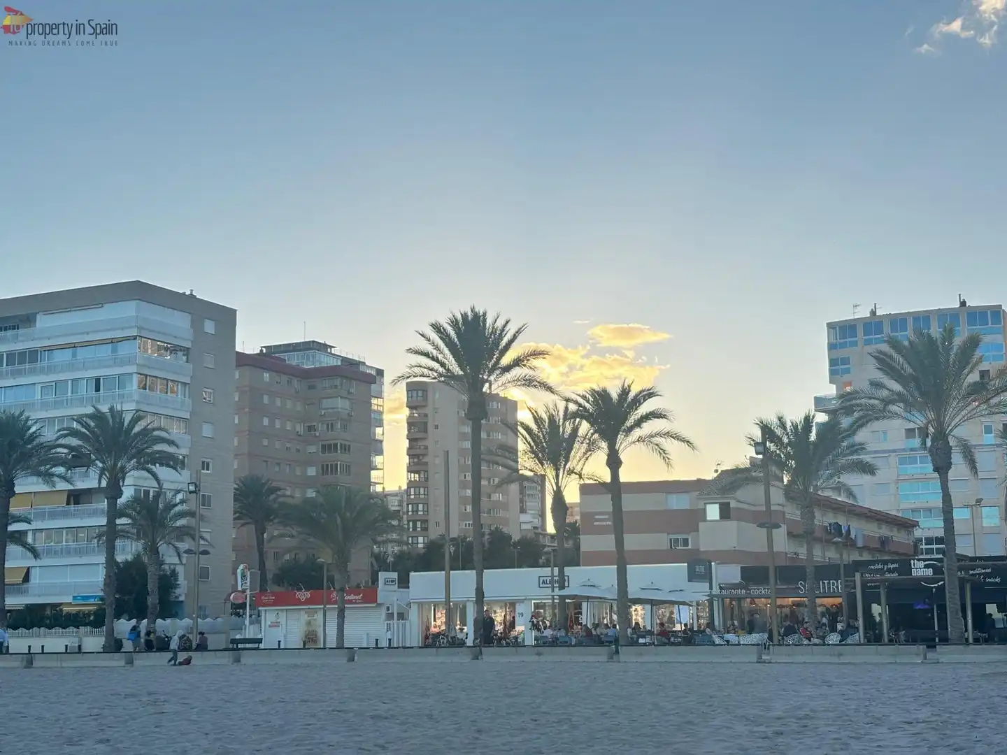 Pis amb piscina en venda a Avenida Avenida Benidorm, imagen 68