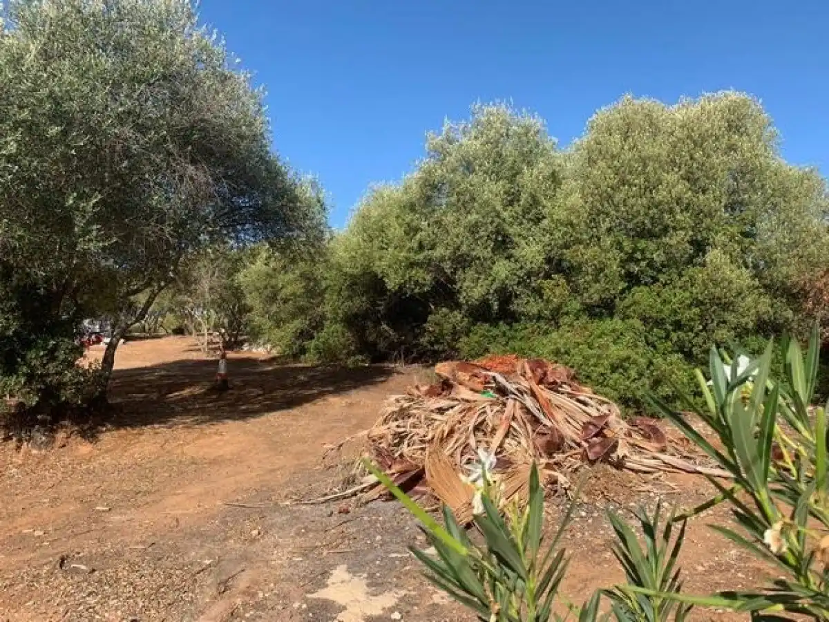 Residential land for sale in Almodóvar del Río, imagen 2
