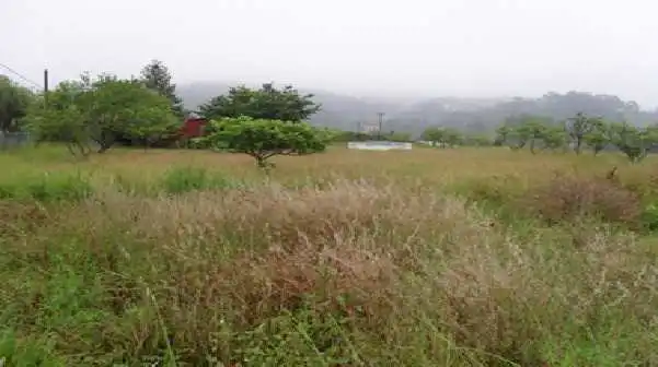 Terreny rústic en venda a SC Urizar-1, imagen 6