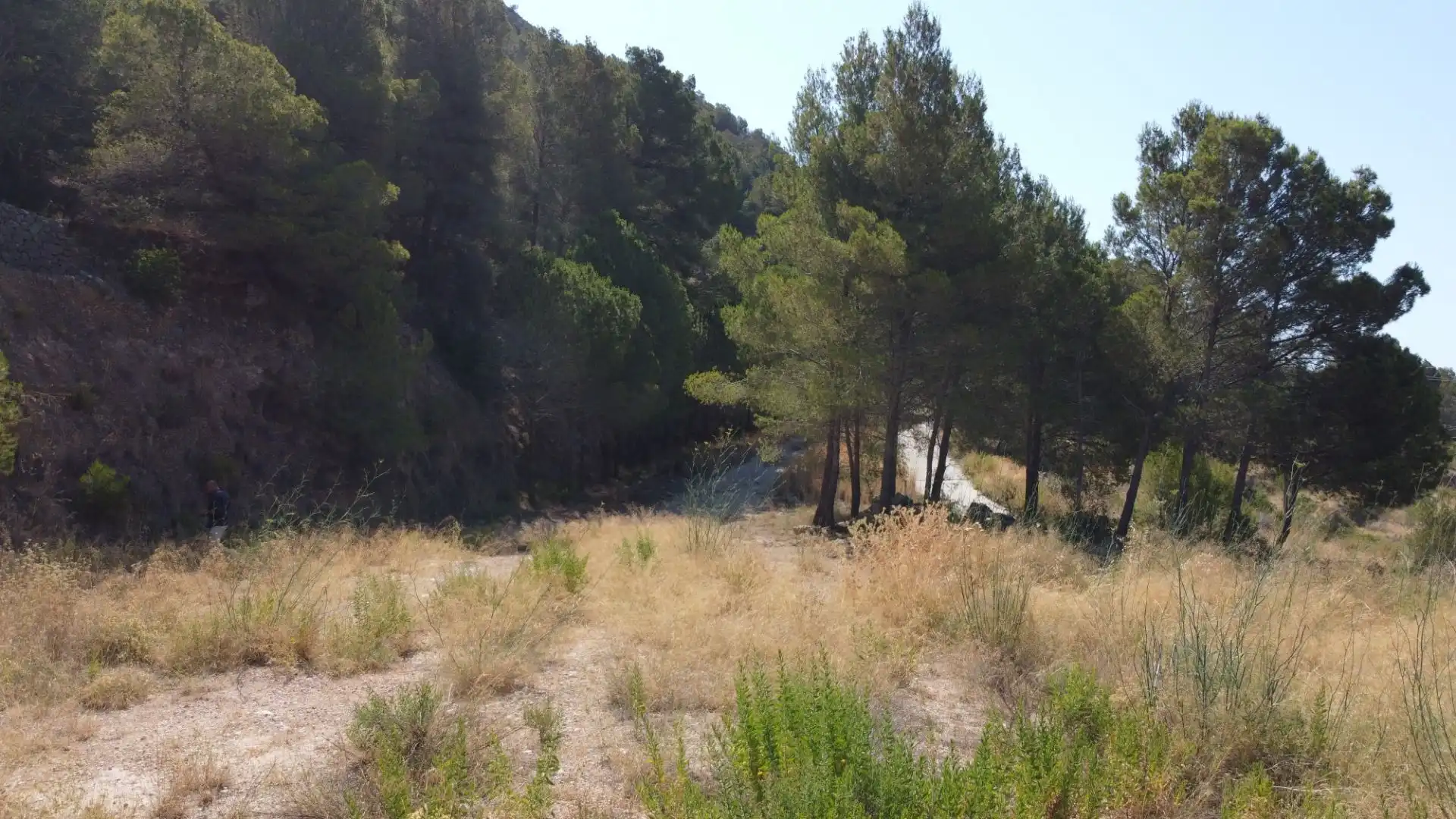 Terrenys i solars en venda a Callosa d'en Sarrià, imagen 4