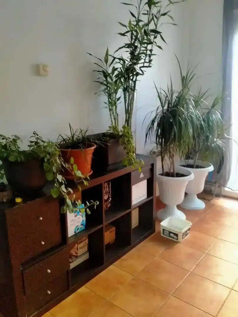 Sala de estar de Casa o chalet en venta en Malagón