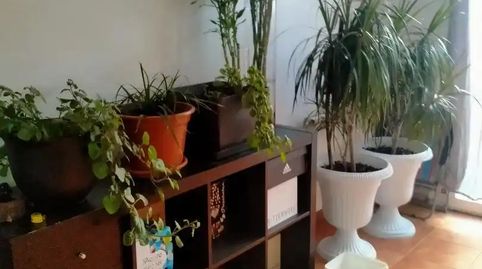 Foto 4 de Casa o xalet en venda a Calle Fray Luis de León, 4, Malagón, Ciudad Real