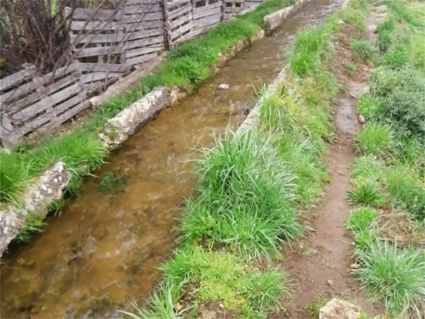 Vista exterior de Finca rústica en venta en Becedas con Jardín privado