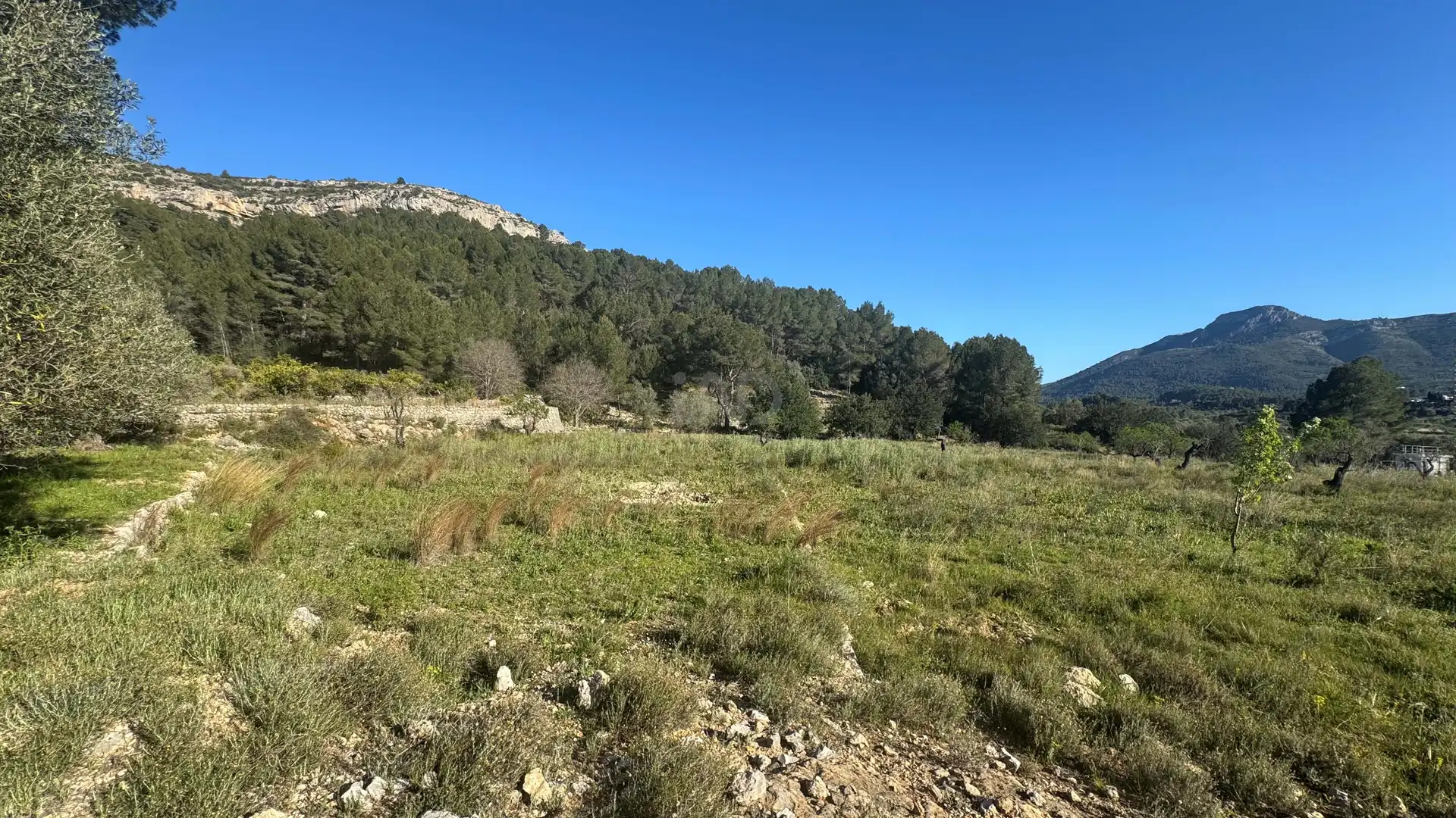 Residential for sale in Murla