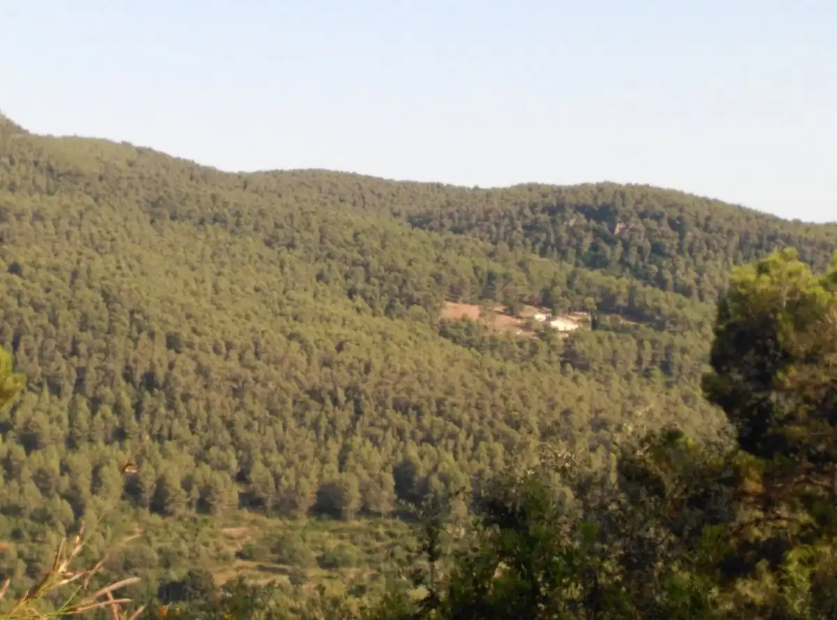 Terreni e lotti in vendita a Corbera de Llobregat, imagen 10