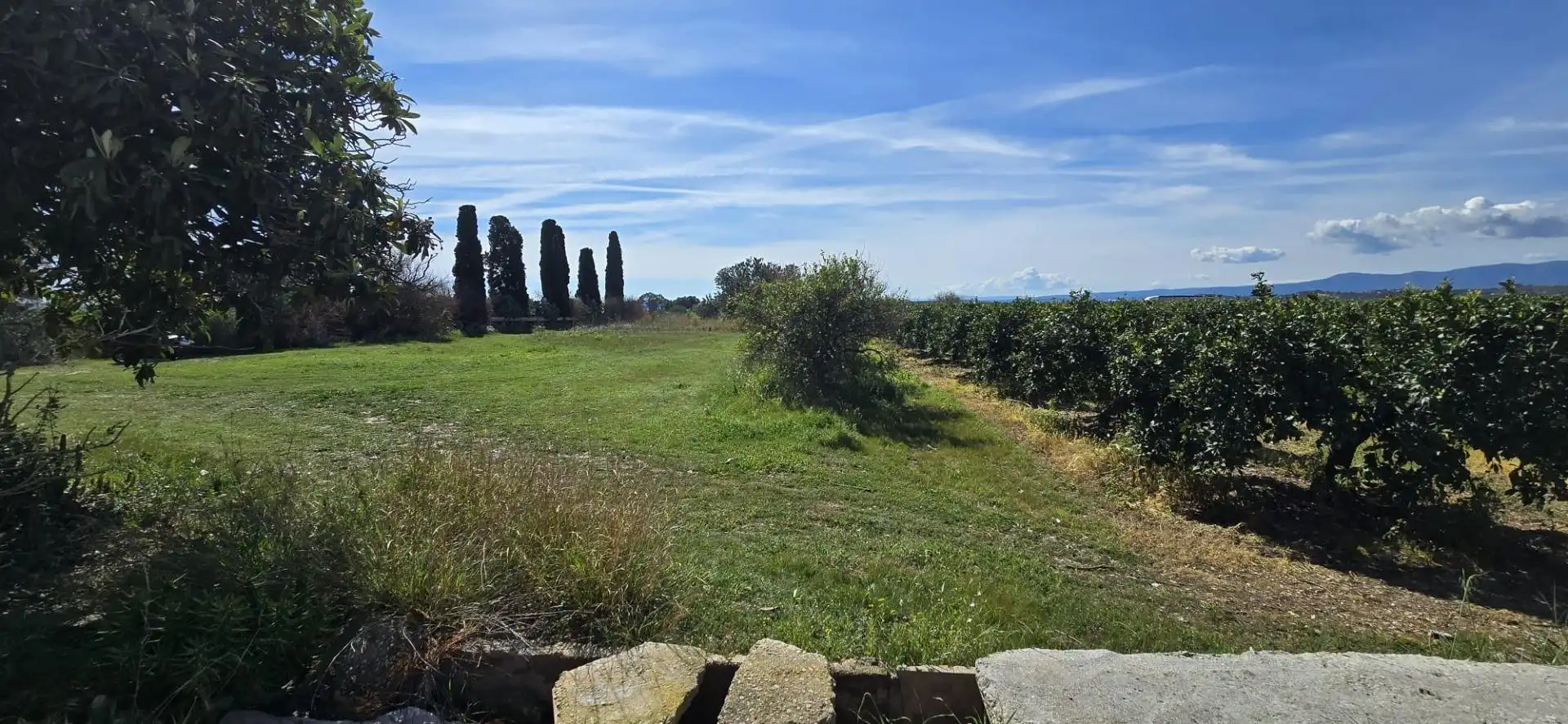 Finca rústica en venda a Santa Bárbara
