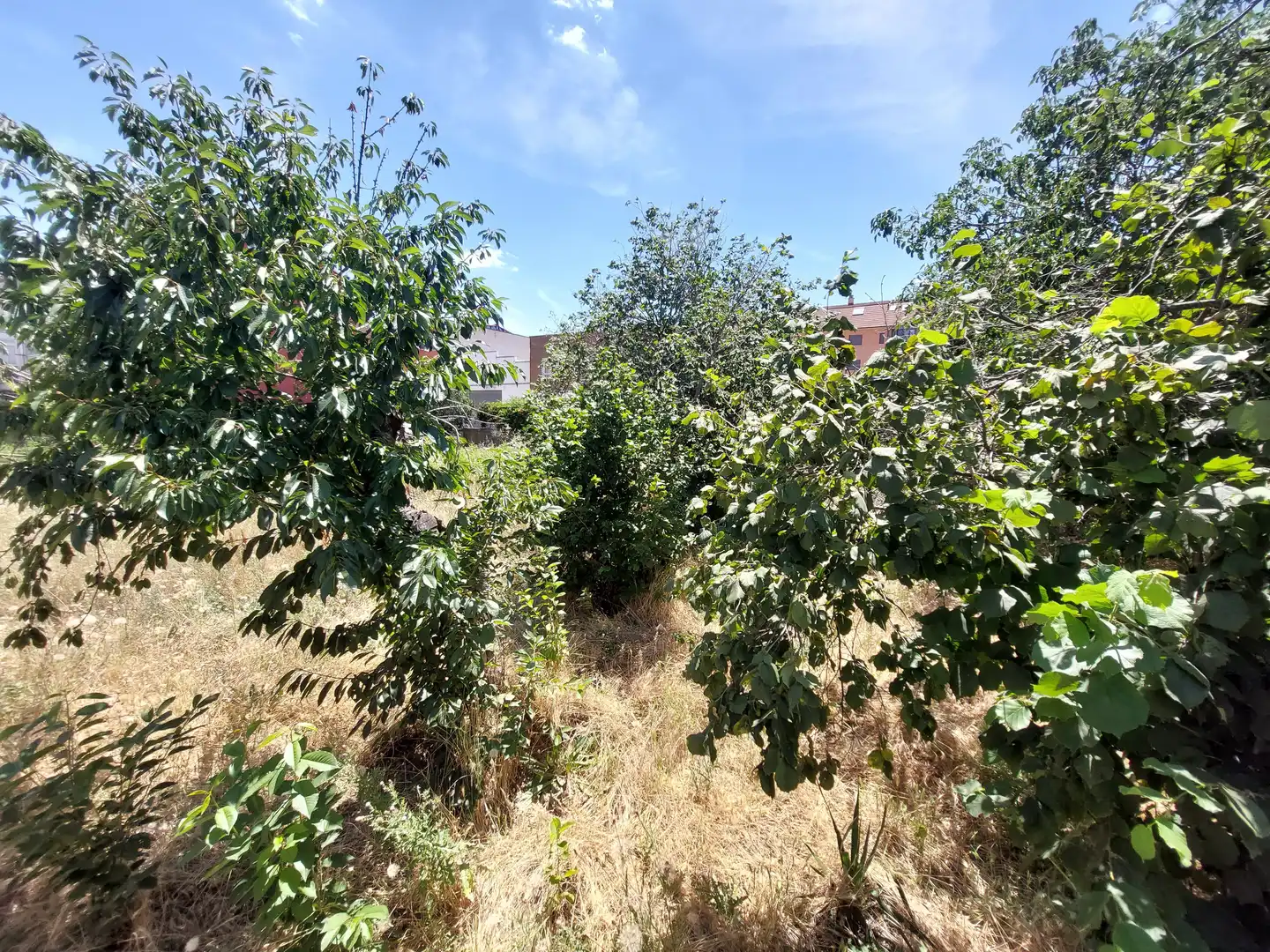 Terreni e lotti in vendita a Villaquilambre, imagen 6