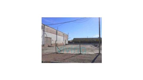 SUELOS en AV DE LES CENDROSSES, SUECA, imatge 2