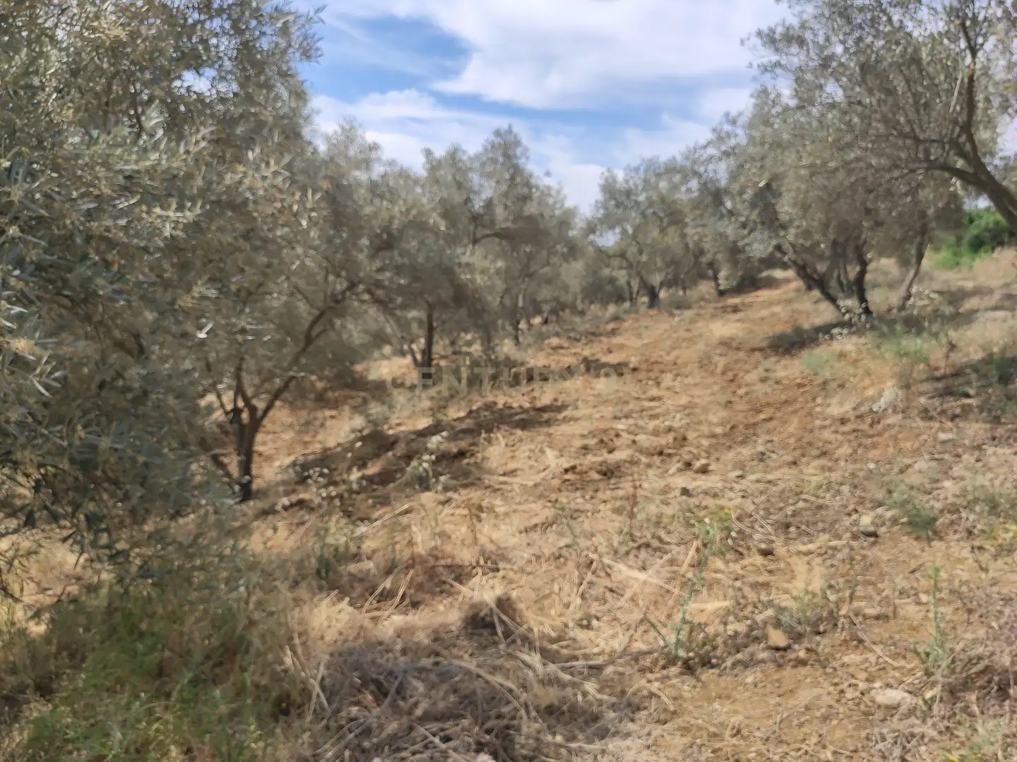 Terreni e lotti in vendita a poligono 3- parcela 102 0, imagen 26