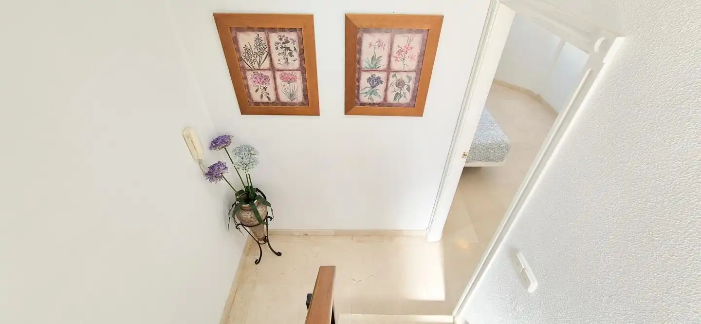 Casa o chalet en venta en Elche / Elx con Terraza, Trastero y Balcón