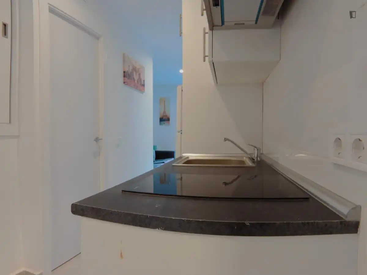 Estudio de alquiler en Berruguete