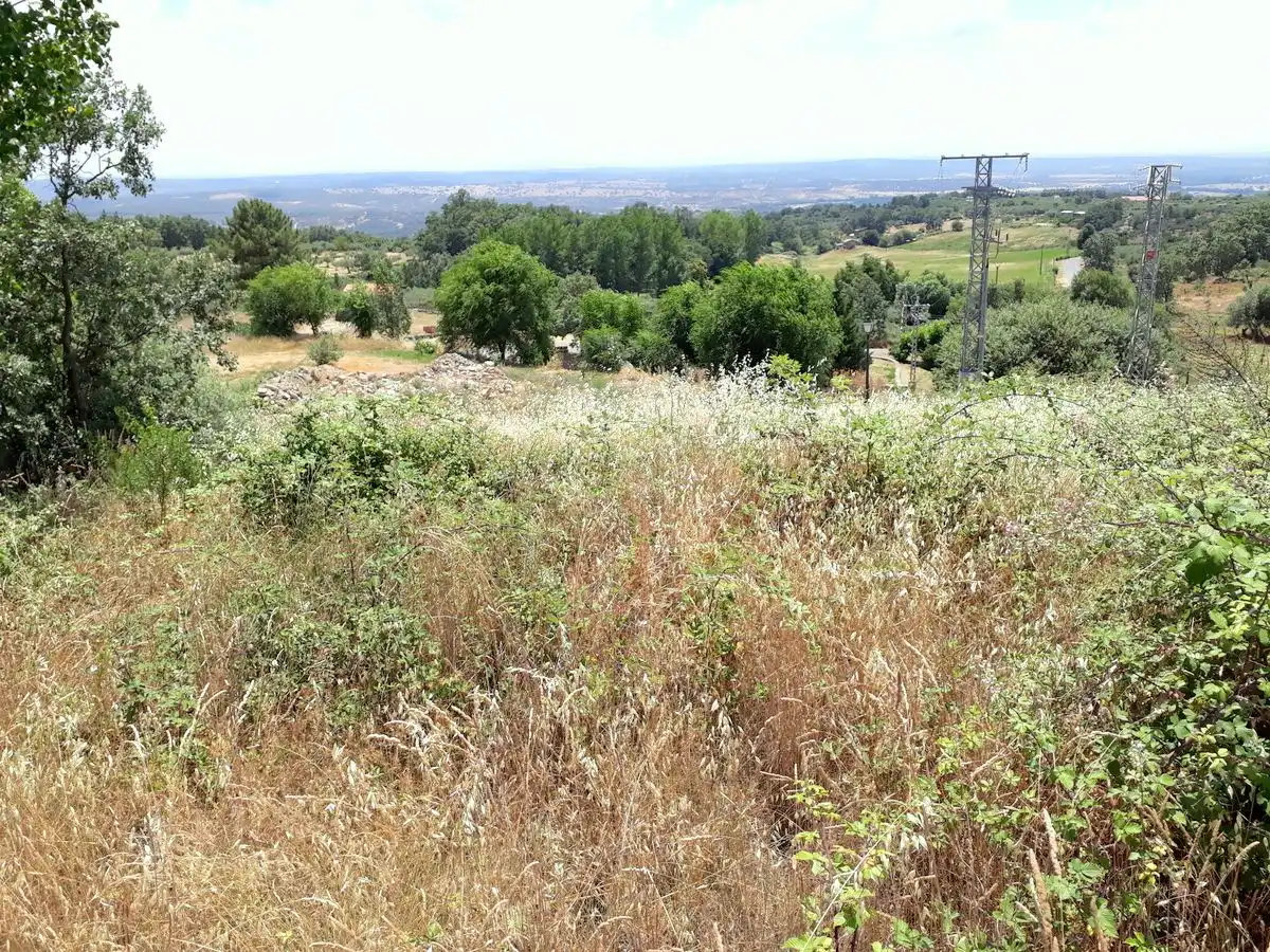 Terreni e lotti in vendita a Poyales del Hoyo, imagen 5