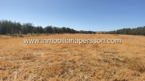 Finca Rústica de 6.510 m2 con Pozo Legalizado y Acceso Directo desde Carretera.