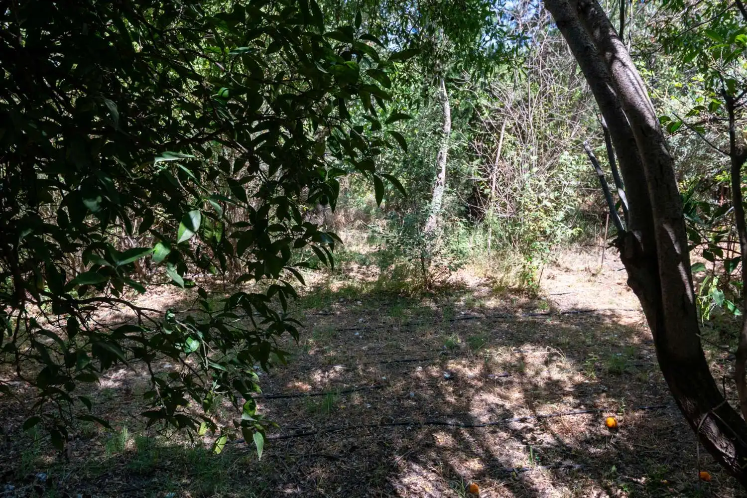Finca rústica en venda en Lecrín amb Piscina