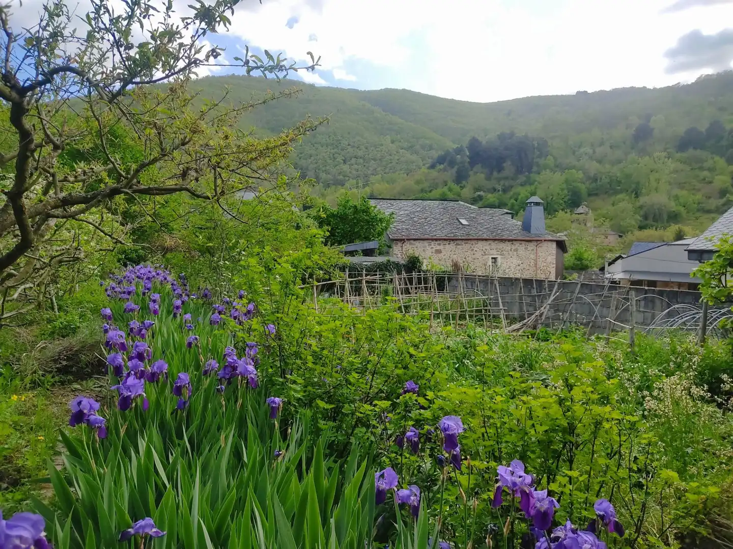 Jardín de Casa o chalet en venta en Ponferrada con Terraza